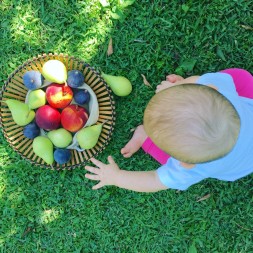 Quando iniziare lo svezzamento?