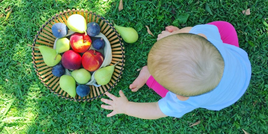 Quando iniziare lo svezzamento?