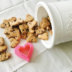 Biscottini vegan al cioccolato